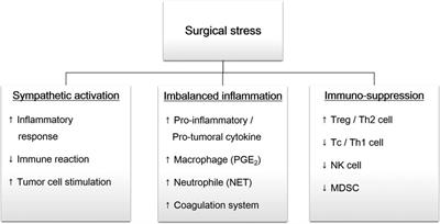 Perioperative Inflammatory Response and Cancer Recurrence in Lung Cancer Surgery: A Narrative Review